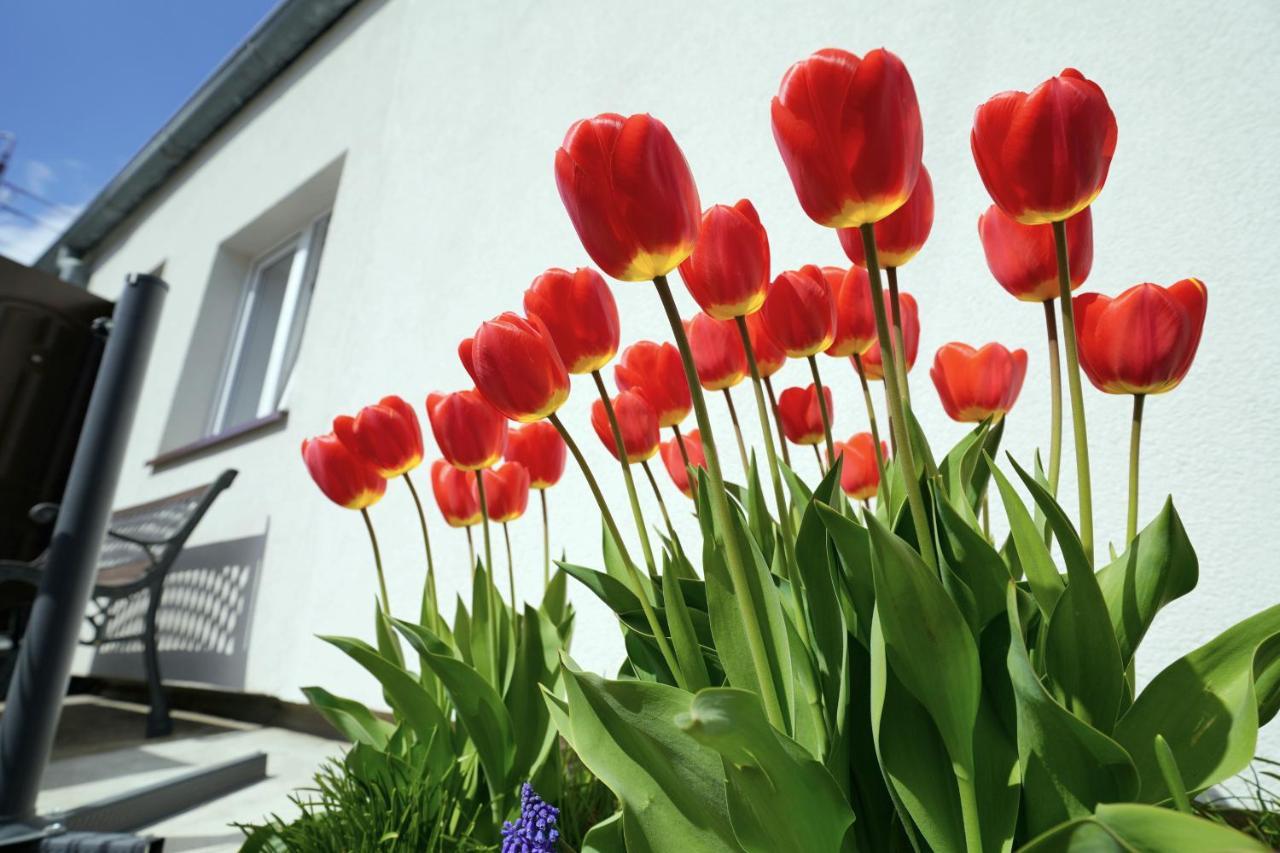 Apartamenty Na Szlaku Giżycko Exteriör bild