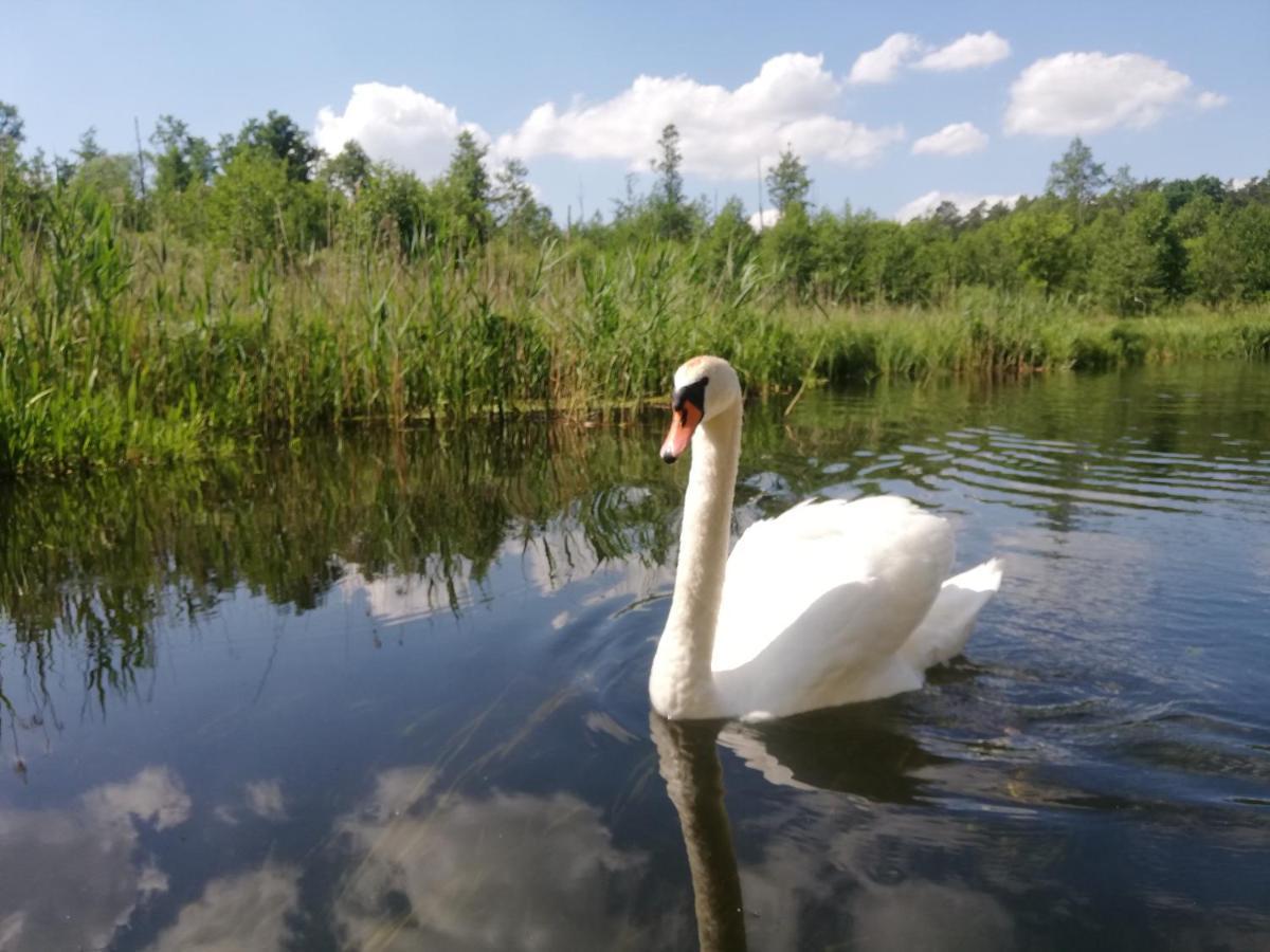 Apartamenty Na Szlaku Giżycko Exteriör bild
